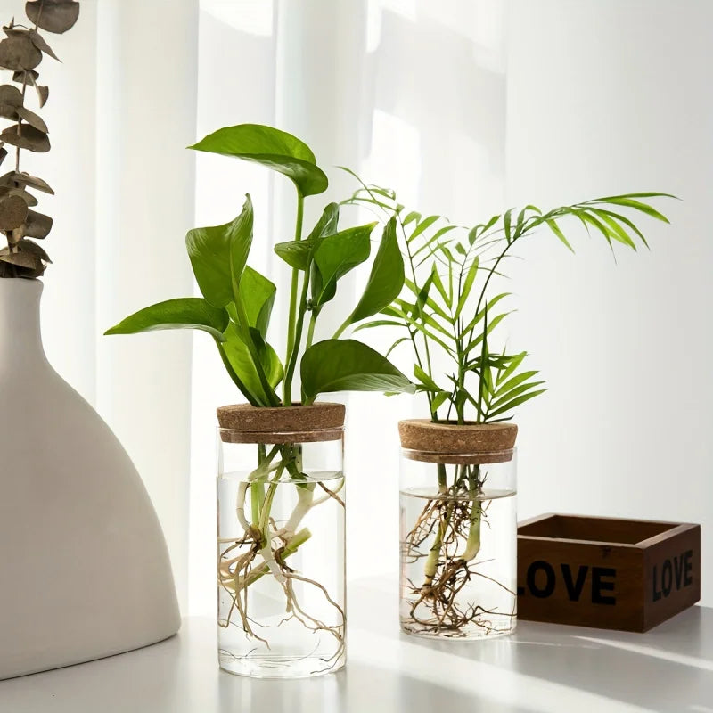 Flow Hydroponic Vase ™